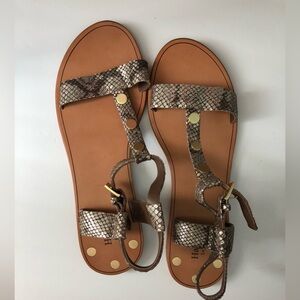 NWT Hammitt Mimosa Sandals